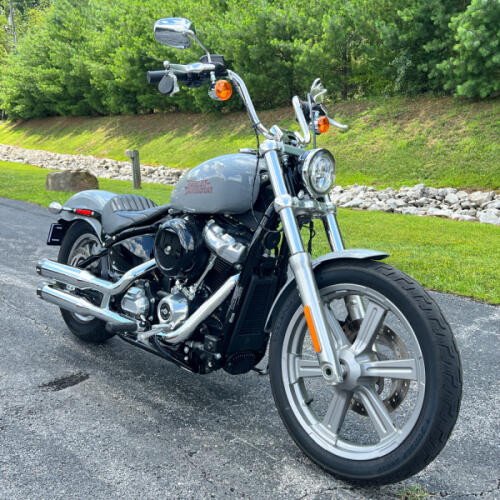FXST 2024 Softail™ Standard thumb 1
