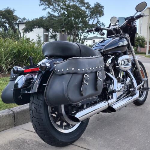 Harley-Davidson® Sportster® 1200 Low 2006 thumb 1