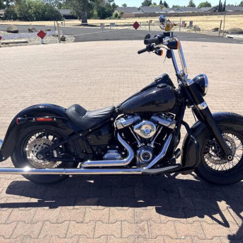 FLSL 2021 Softail Slim® thumb 1