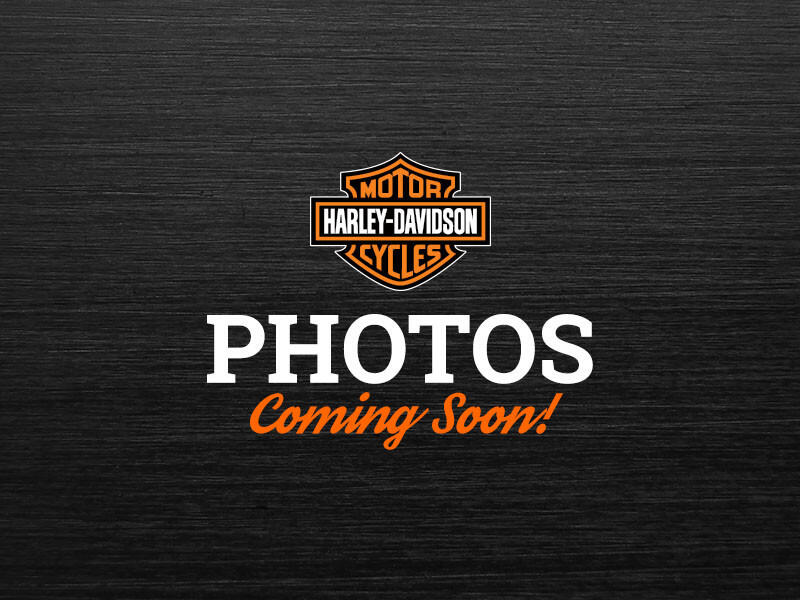 2014 Harley-Davidson® Electra Glide® Ultra Classic® Sand Pearl/Canyon Brown Pearl