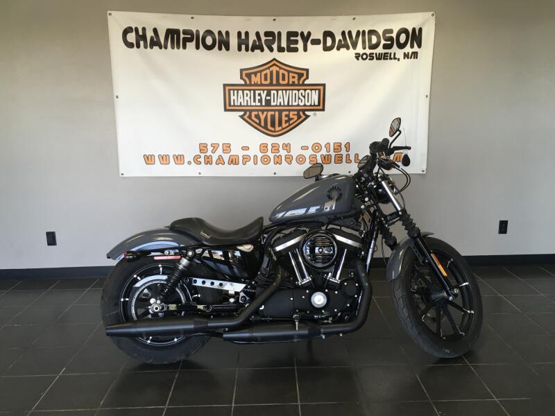 Iron 883™