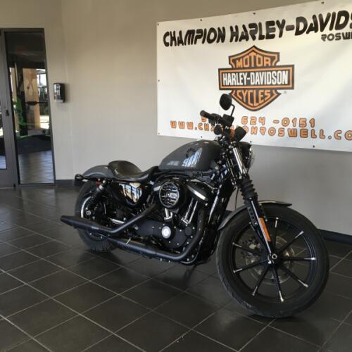 Iron 883™ thumb 1