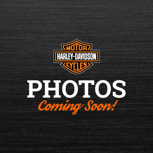 2014 Harley-Davidson® Electra Glide® Ultra Classic® Sand Pearl/Canyon Brown Pearl thumb 3