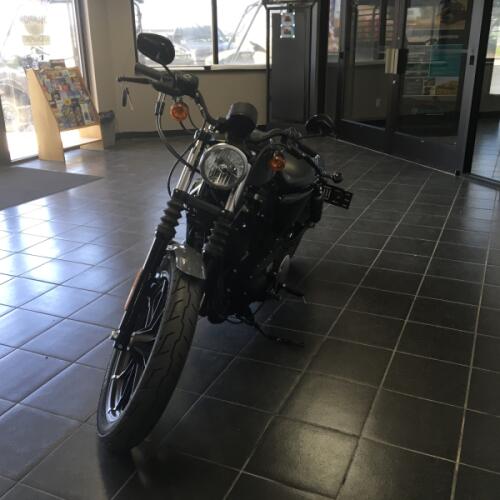 Iron 883™ thumb 3
