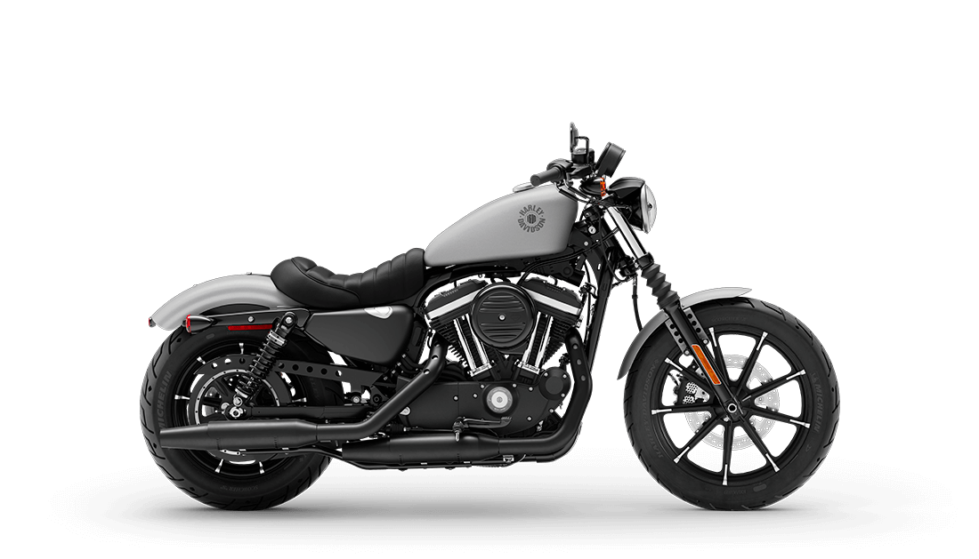 2020 Harley-Davidson® Iron 883™ Barracuda Silver Denim