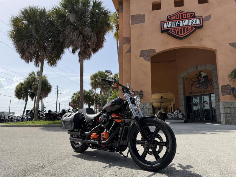 FXST 2023 Softail® Standard