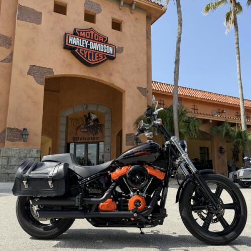 FXST 2023 Softail® Standard thumb 3