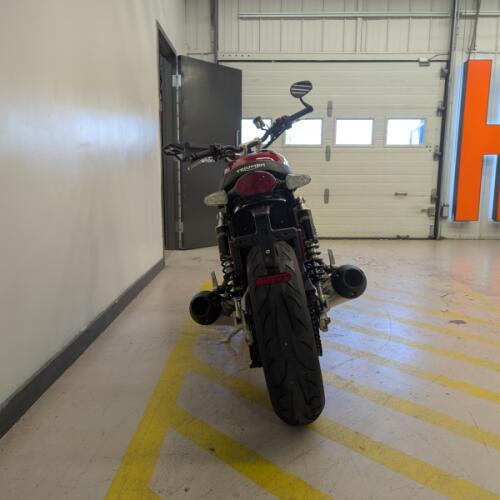 2026 Triumph Speed Twin 1200 - Carnival Red  thumb 0