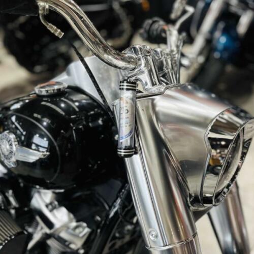 HARLEY-DAVIDSON FATBOY thumb 3