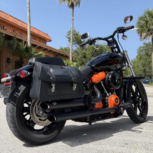 FXST 2023 Softail® Standard thumb 2