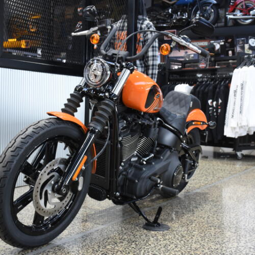 2024 Street Bob thumb 2