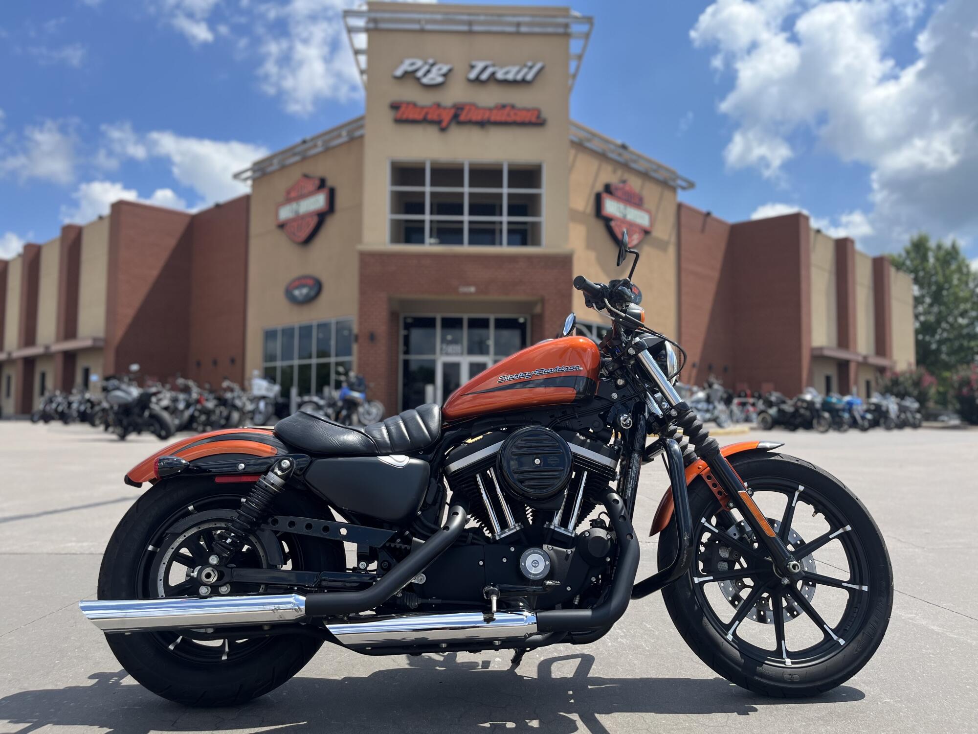 2020 Harley-Davidson® XL883N Iron 883™ SRCHORG/SLVFLUX 404606