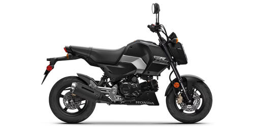 2026 Grom™ SP thumbnail