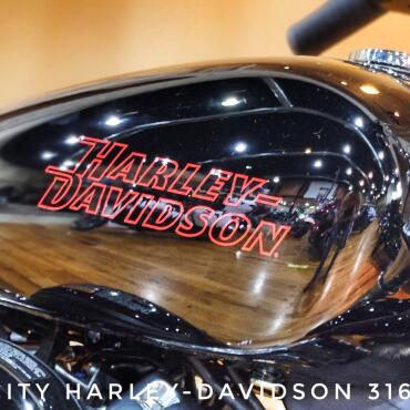 2024 Harley-Davidson® Softail® Standard, FXST thumb 0
