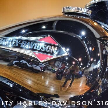 2020 Harley-Davidson® Softail Slim®, FLSL thumb 0