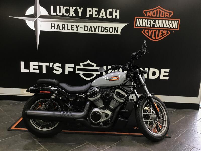 2024 Harley-Davidson® Nightster® Special Billiard Gray