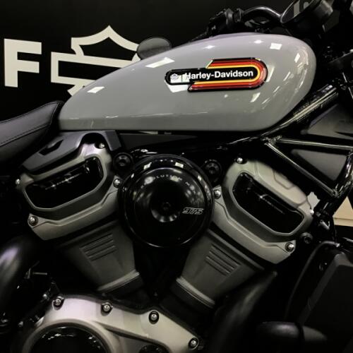 2024 Harley-Davidson® Nightster® Special Billiard Gray thumb 3