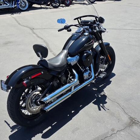 FLSL 2019 Softail Slim® thumb 2