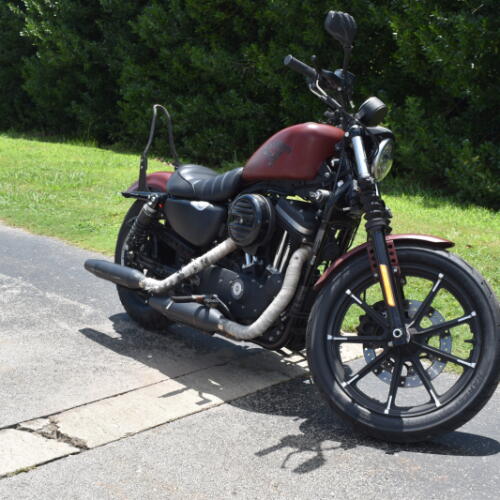 2017 Harley-Davidson® Iron 883™ thumb 3