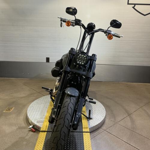 FXLRS 2022 Low Rider® S thumb 2