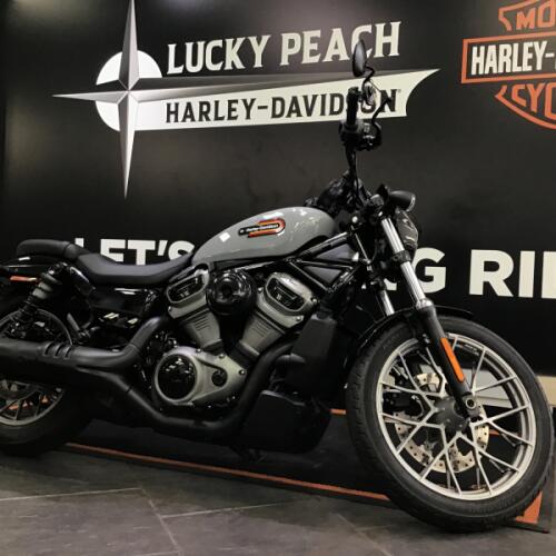2024 Harley-Davidson® Nightster® Special Billiard Gray thumb 1