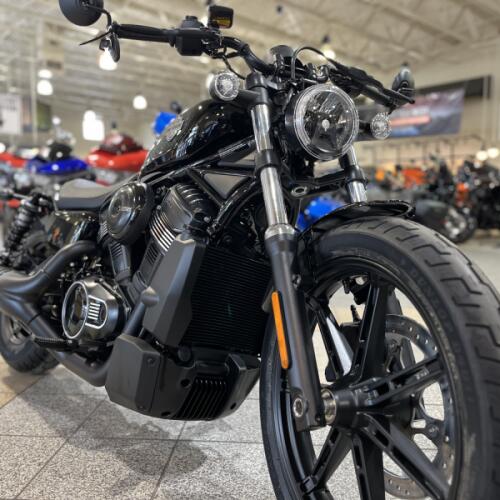 RH975 2026 Nightster® thumb 3