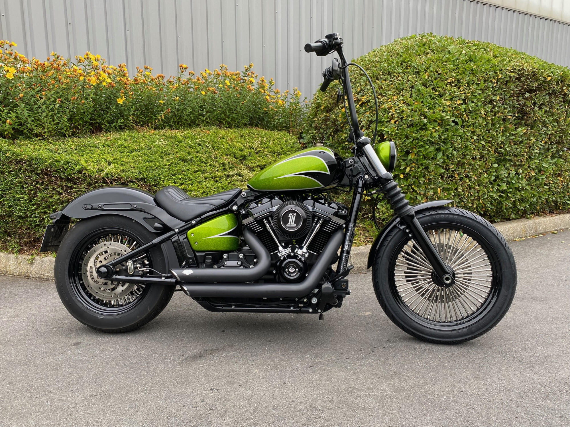 FXBB 2019 Street Bob®