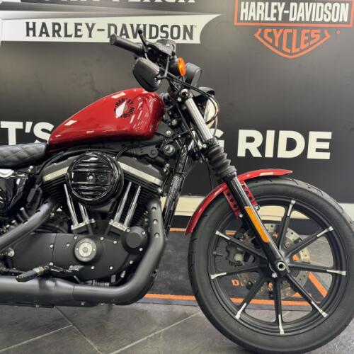 2019 Harley-Davidson® Iron 883™ Wicked Red thumb 3