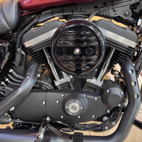 2019 Harley-Davidson® Iron 883™ Wicked Red thumb 2