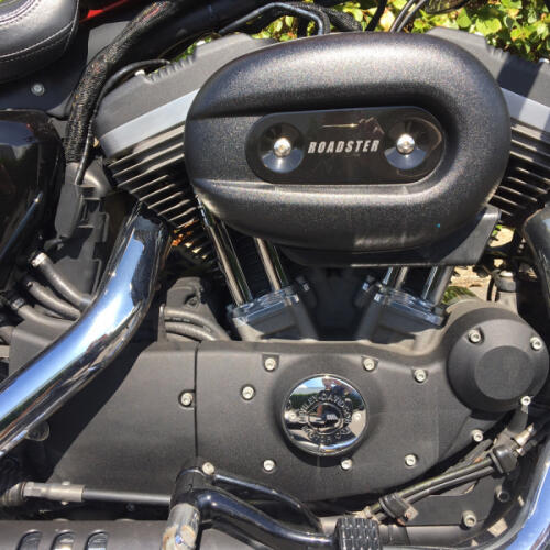 XL1200R 2018 Roadster™ thumb 0