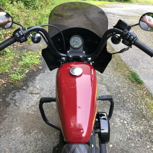 2021 Harley-Davidson® Iron 1200™ Billiard Red thumb 0