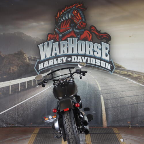 FLSL 2021 Softail Slim® thumb 2