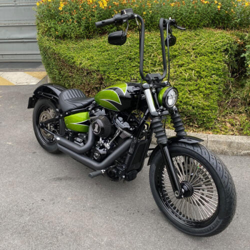 FXBB 2019 Street Bob® thumb 2