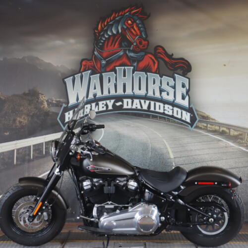 FLSL 2021 Softail Slim® thumb 0