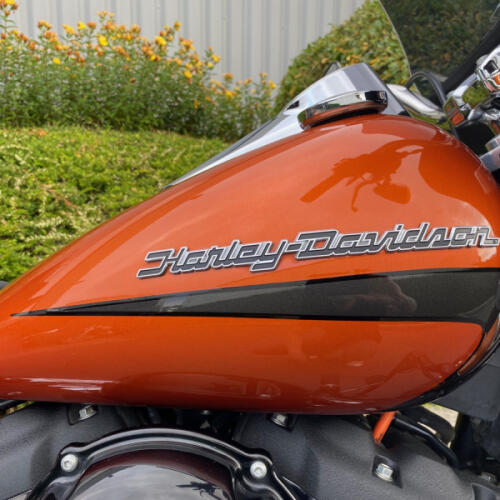FLSB 2020 Sport Glide® thumb 0