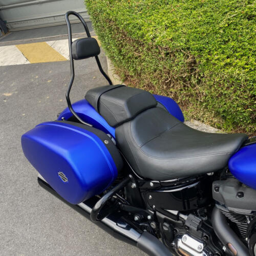FLSB 2020 Sport Glide® thumb 1