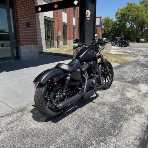 XL 883N 2016 Iron 883™ thumb 3