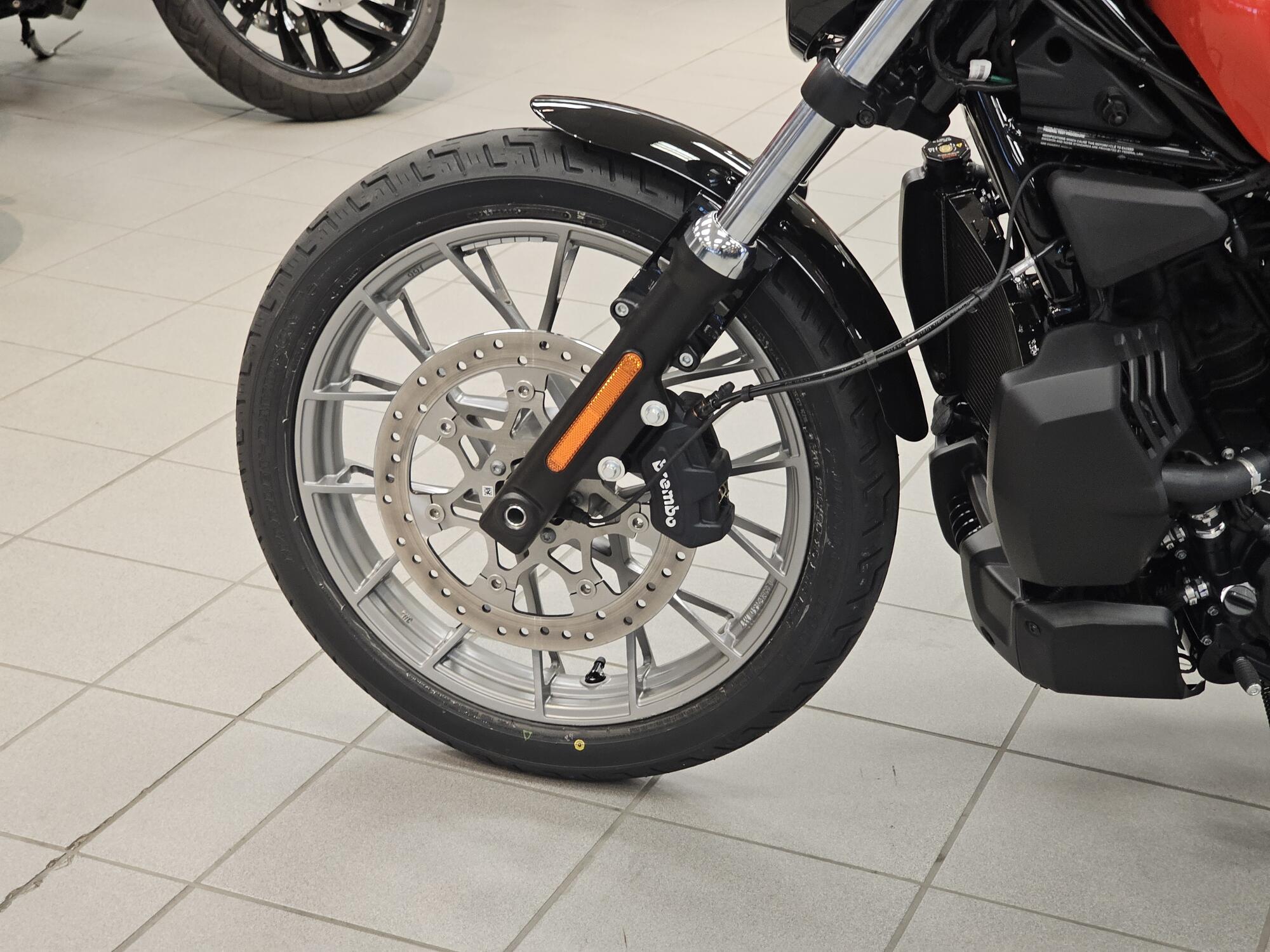 RH975S 2026 Nightster Special®, photo 13