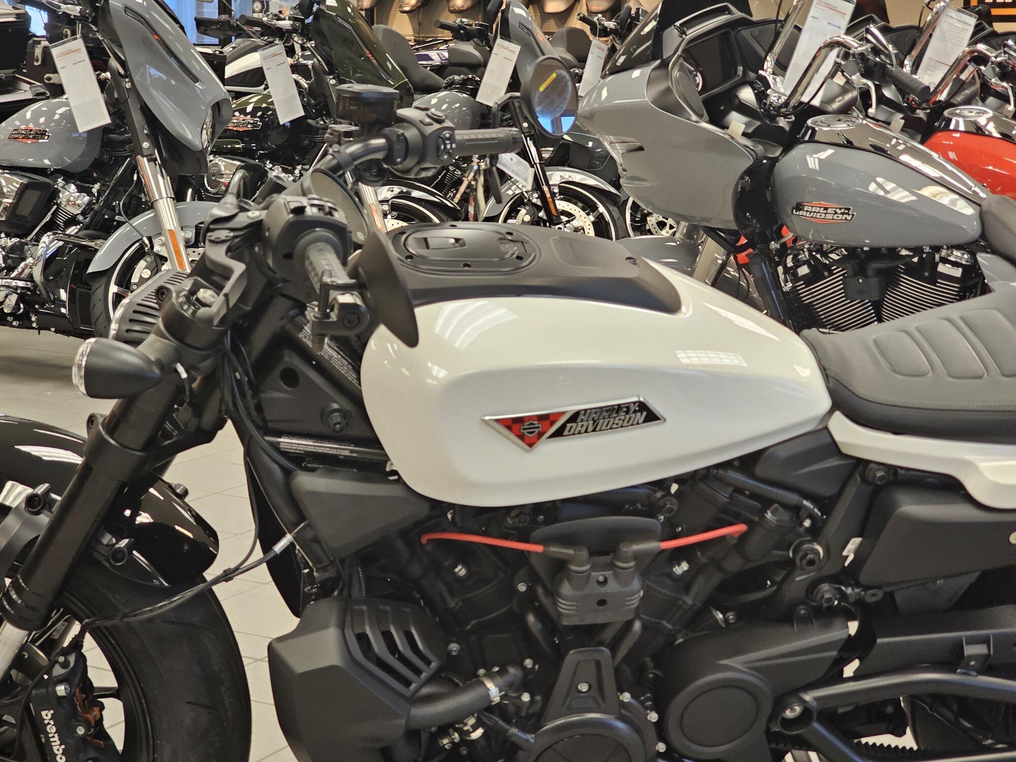 RH1250S 2026 Sportster® S, photo 14