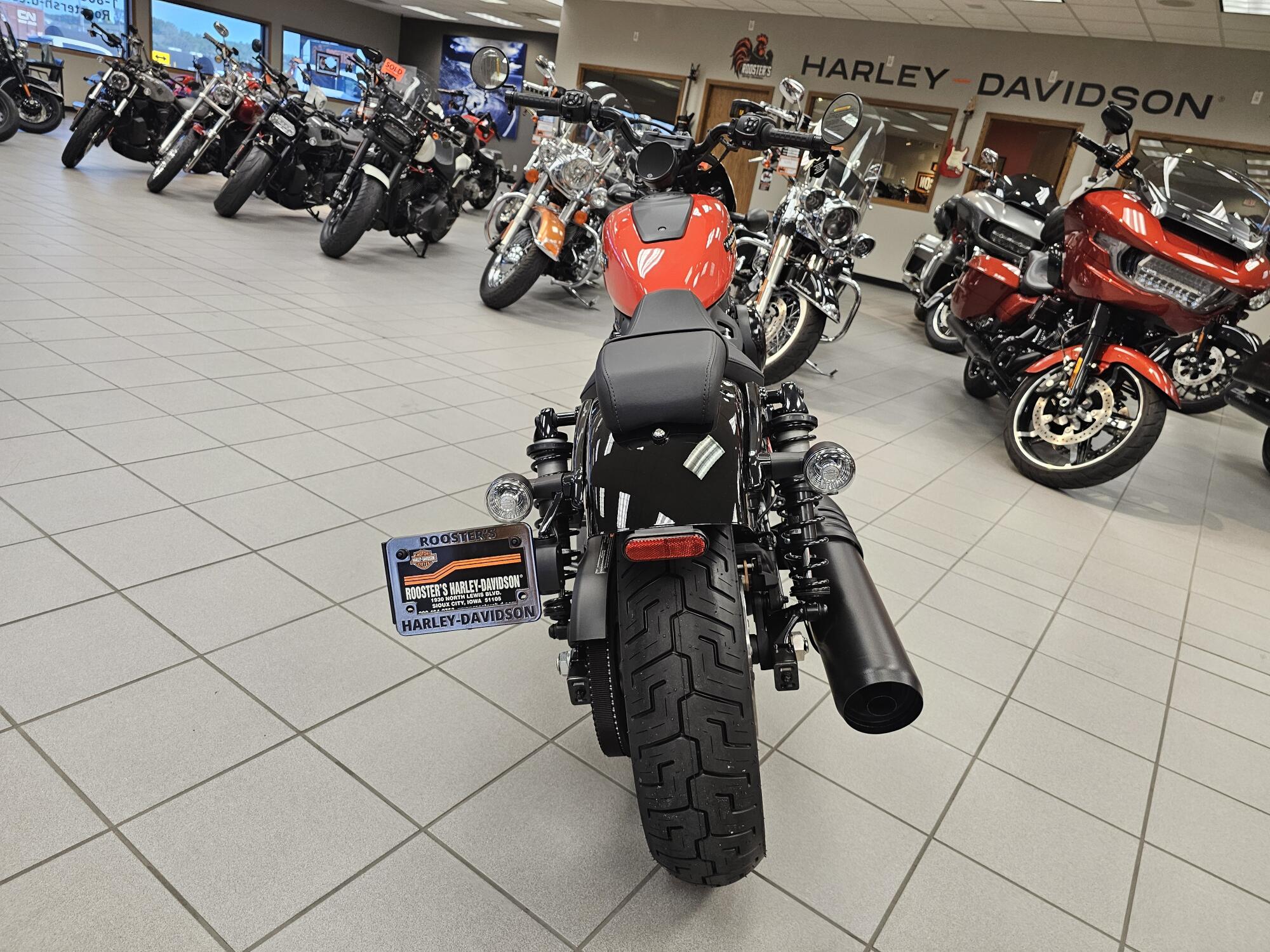 RH975S 2026 Nightster Special®, photo 7