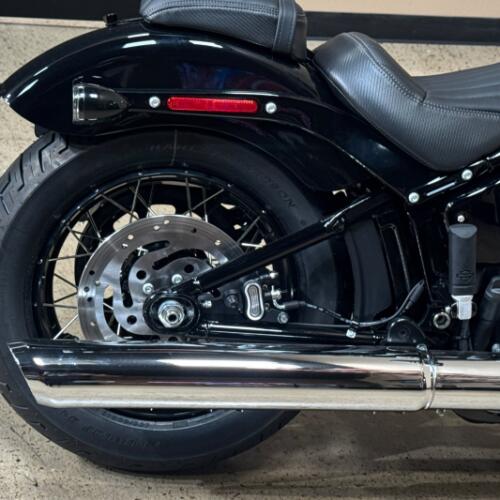 Harley-Davidson® Street Bob® 2026 thumb 3