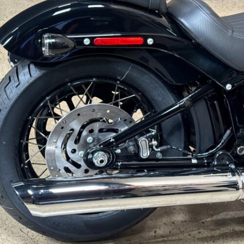 Harley-Davidson® Street Bob® 2026 thumb 3
