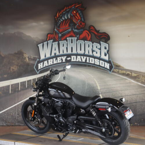 RH975 2026 Nightster® thumb 1