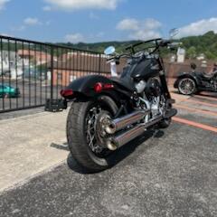 2020 Harley-Davidson® Softail Slim® FLSL thumb 2