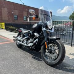 2020 Harley-Davidson® Softail Slim® FLSL thumb 1