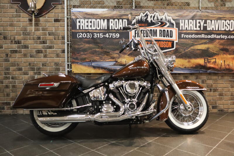 2019 Deluxe (FLDE)