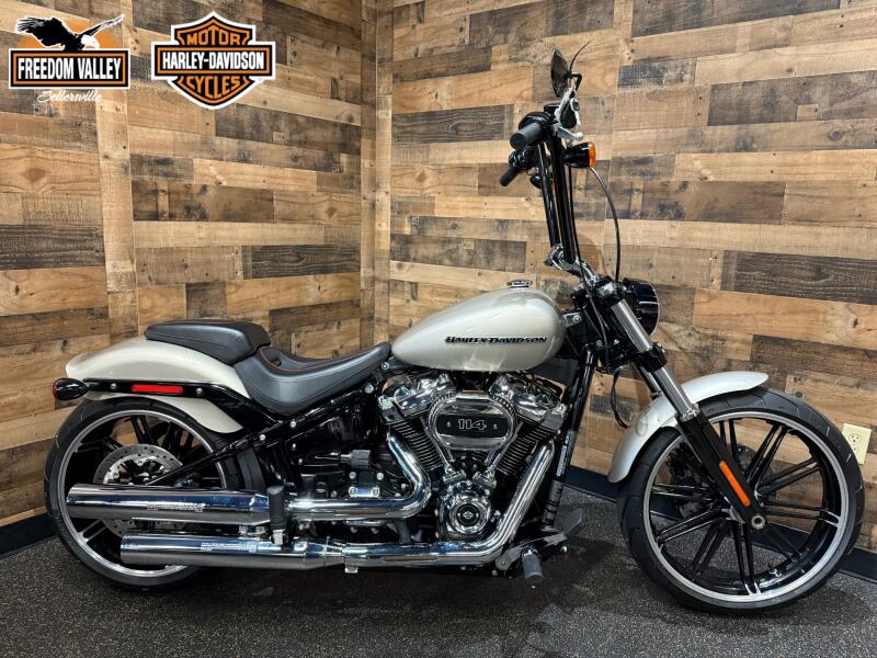 2018 Harley-Davidson® Breakout® Silver Fortune  FXBRS