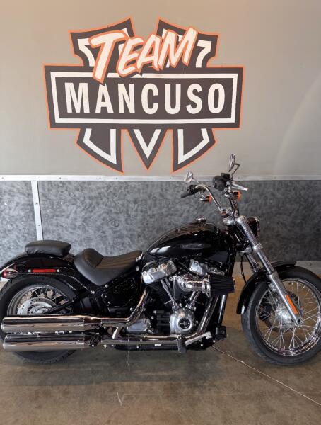 Harley-Davidson® Softail Standard® 2020
