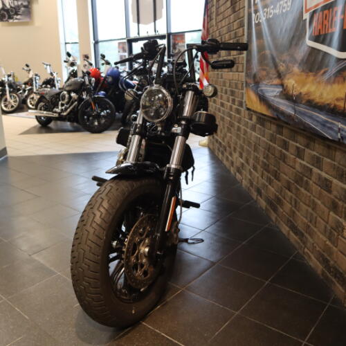 2022 Forty-Eight® (XL1200X) thumb 0
