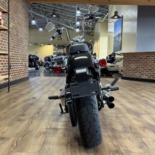 Harley-Davidson® Softail Standard® 2022 thumb 2